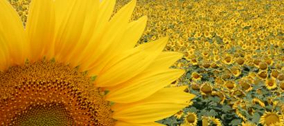 image076